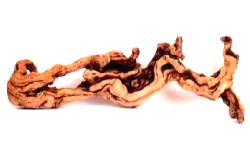 Pacific Driftwood small grapewood