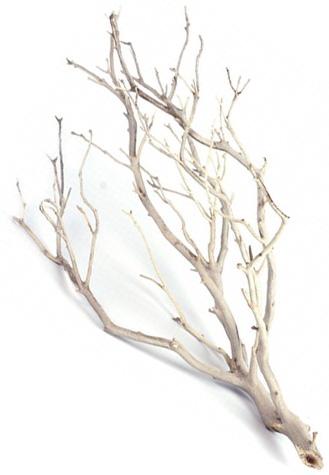 Medium sandblasted manzanita