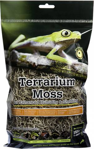 Galapagos Natural Spanish Moss