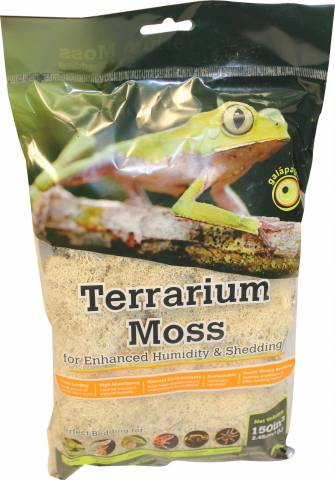 Galapagos Reindeer Moss