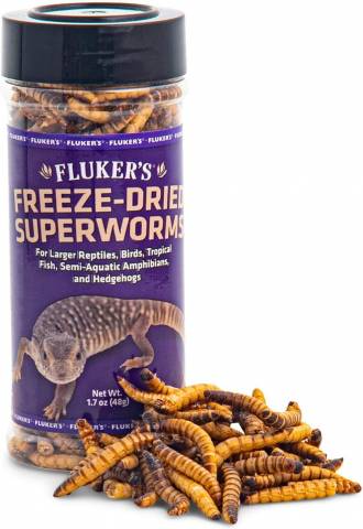 Fluker's Freeze-Dried Superworms Reptile Food, 1.7-oz bag