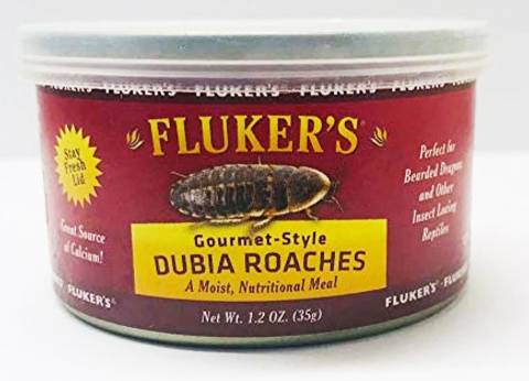 Flukers Gourmet Style Canned Dubia Roaches