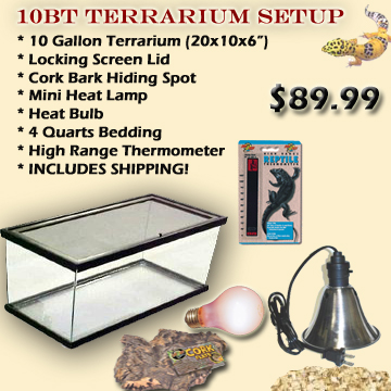 10BT Complete Terrarium Setup