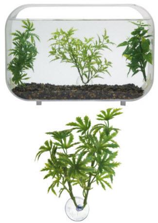 Zoo Med Betta Plant Papaya