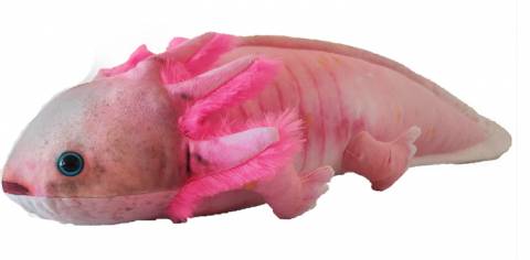 Axolotl 22" Pink Plush Stuffed Animal