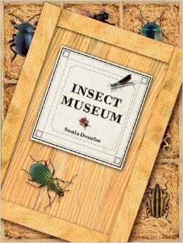 Insect Museum