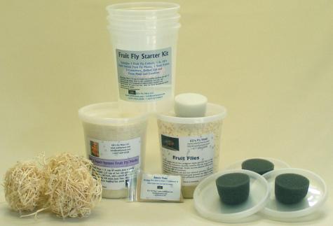 Fruit Fly Kits - 10