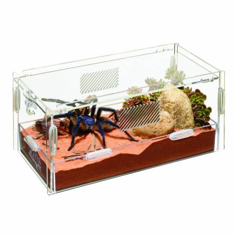 Zilla Terrestrial Micro Habitat Small