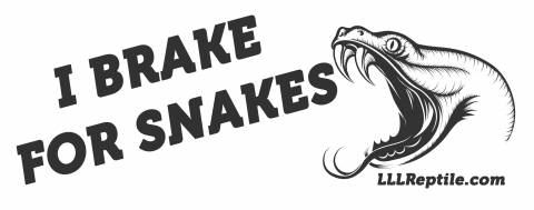 I Brake For Snakes Bumper Sticker