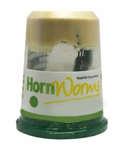 2 Goliath Worm Cups shipped WITH Crickets (24 count per cup)