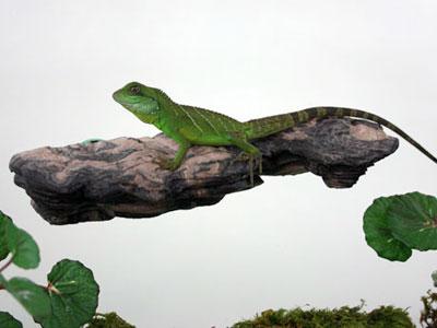 Pet Tekk Medium Mushroom Ledge