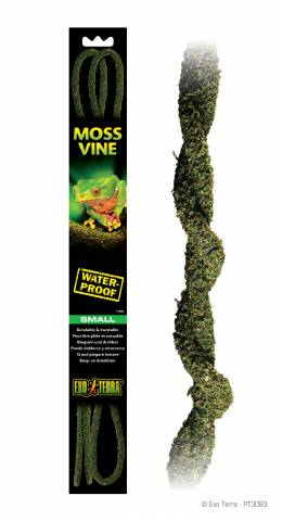 Exo Terra Moss Vine Small