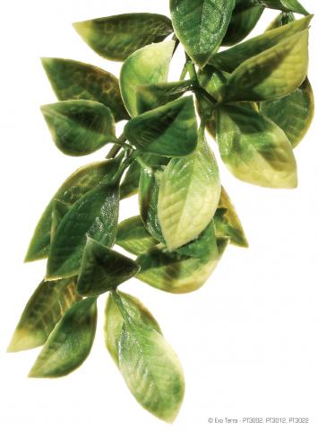 Exo Terra Mandarin Hanging Plant Large
