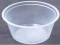 12oz Clear Insect Deli Cup