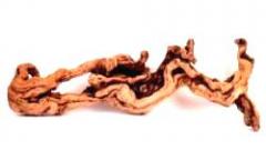 Pacific Driftwood small grapewood