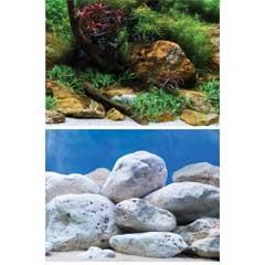 Aquatic Garden / Bright Stone Background 12"