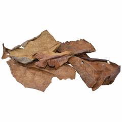 Komodo Dried Oak Leaf Litter