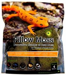Galapagos Pillow Moss 4 quarts