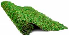 Galapagos Mossy Crashpad Terrarium Liner