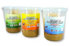 Fruit Fly Culture shipped w/ reptile