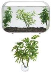 Zoo Med Betta Plant Papaya