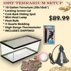 10BT Complete Terrarium Setup