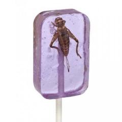 Cricket Lick-It Suckers