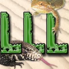 We stock a wide variety of exotic reptiles, amphibians, and invertebrates from around the world. Weâ€™re sure to have something for every taste and level of experience.