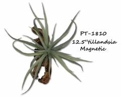 Pet Tekk 12 1/2" Tillandsia Magnatural