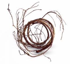 Pangea Ultimate Vine Brown