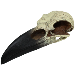 Komodo Raven Skull Medium